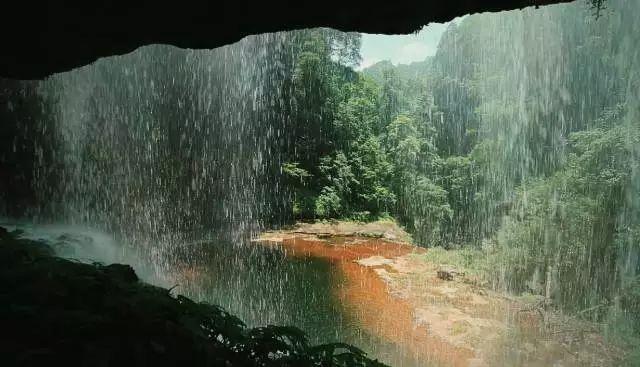 《第二十条》预售开启，赵丽颖与马丽高叶打扑克，调侃“丈夫”潘斌龙不敢和她坐一块